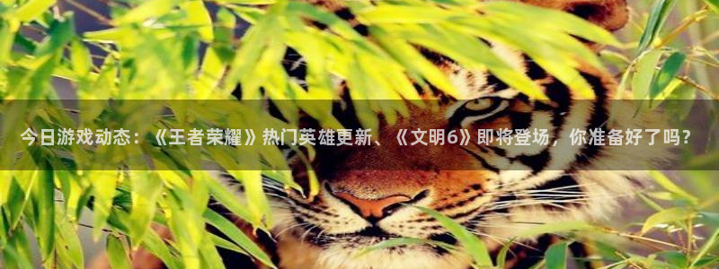 星欧娱乐网页版地址：今日游戏动态：《王者荣耀》热门英雄更新、