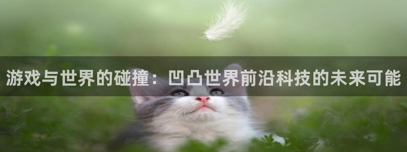星欧娱乐平台官网客服电话