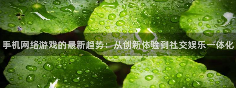 星欧娱乐：手机网络游戏的最新趋势：从创新体验到社交娱乐一体化